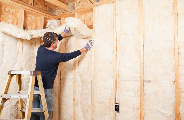 Best Eco-Friendly or Green Insulation Solutions  in Lower Grand Lagoon, FL